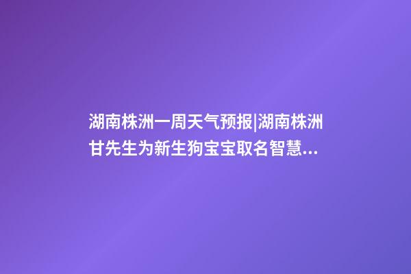 湖南株洲一周天气预报|湖南株洲甘先生为新生狗宝宝取名智慧型套餐-第1张-公司起名-玄机派